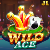 Wild Ace Slot on SlotsGo